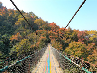 古东森林公园.jpg